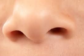 О происхождении слов nose, нос, ніс
