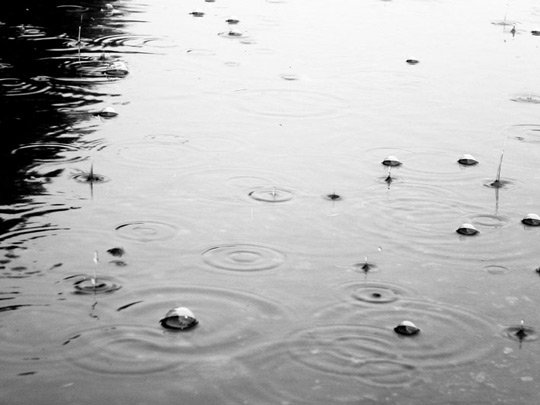 Були на воде во время дождя. К этимологии слова цибуля