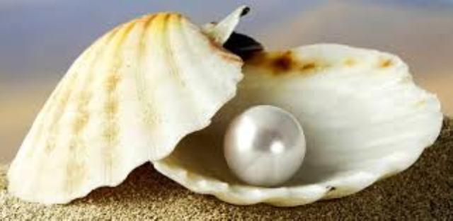 Перлина - pearl [пэрл]. О происхождении слов