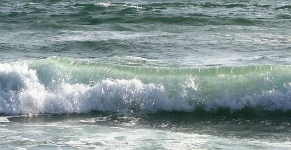 Wave (вейв) – развеваться, виться, веять, вить, завивать, завивка, волновой, волноваться, волна